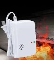 গ্যাস লিক ওয়ার্নিং ডিটেক্টর